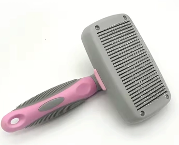 برس بینگو مورفی