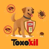 سم و ضد انگل توکسوکیل