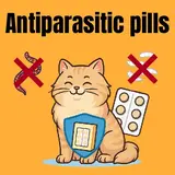 مدیمیون های سگ و گربه